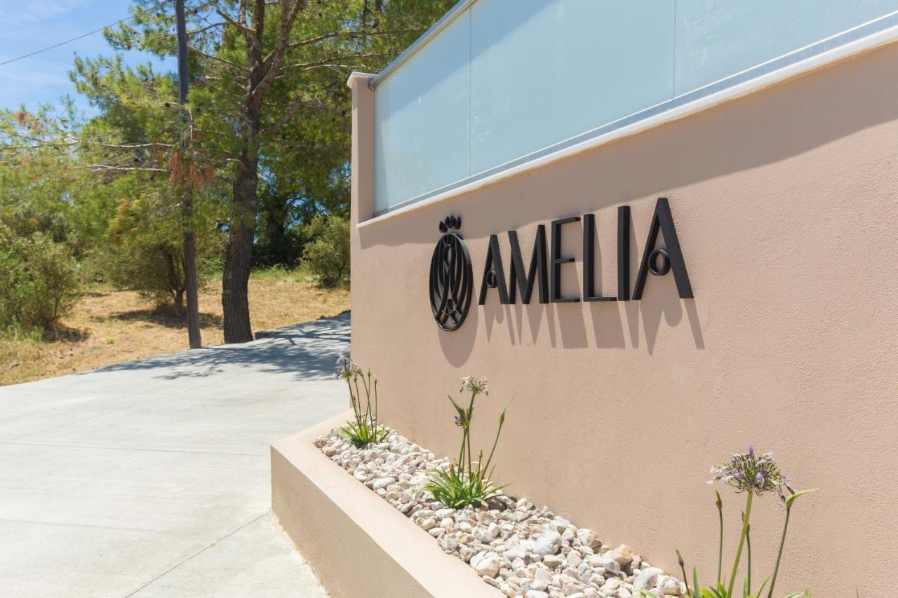 Amelia Residence 查加基恩 外观 照片